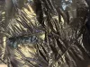 Geaca barbati de iarna, lunga, neagra lucioasa cu defect DEF541 D0-5
